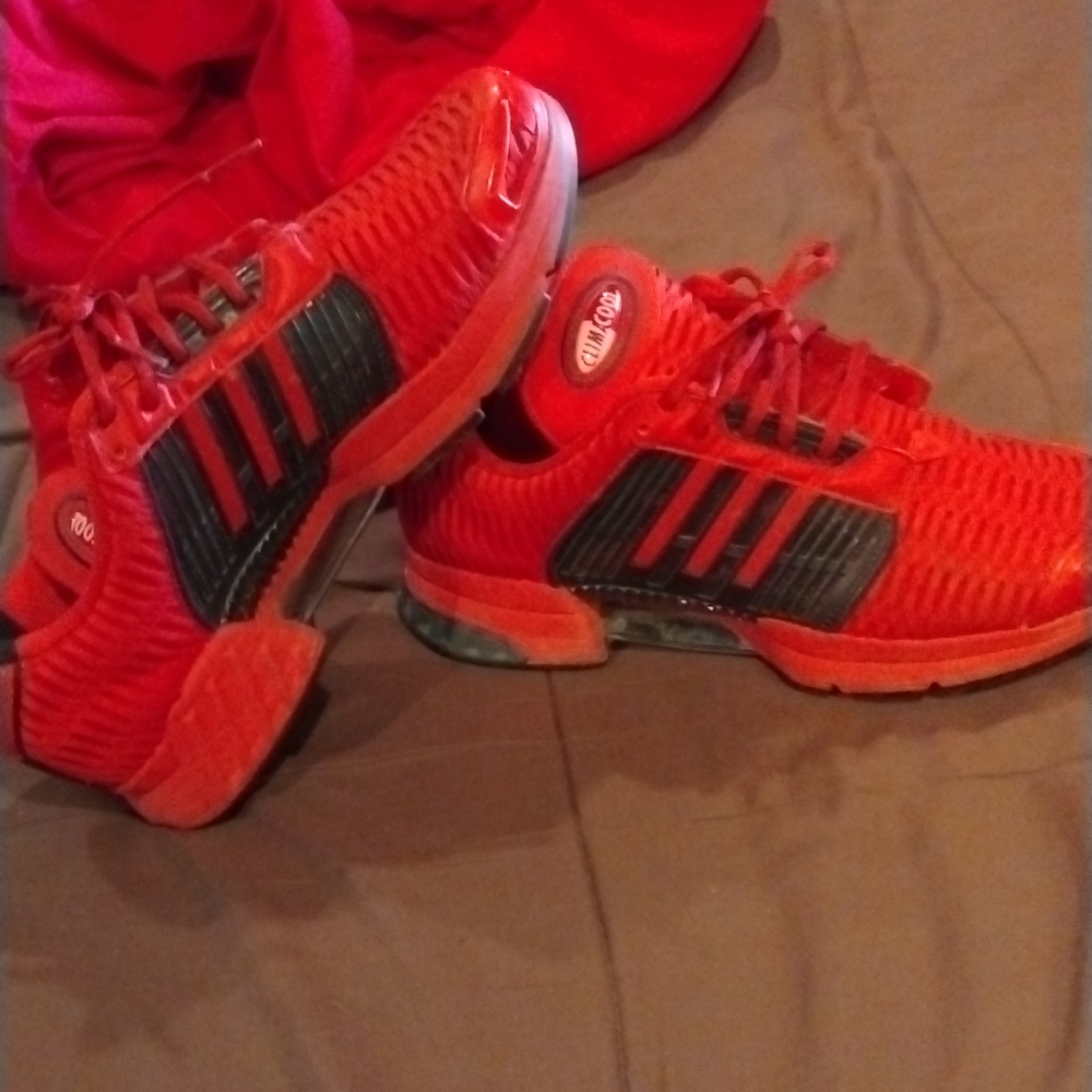 Adidas climacool shoes